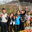 양산배내골 사과정보화마을 이미지