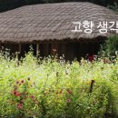 고향생각 이미지