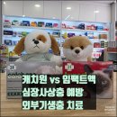 친절한 푸른약국 이미지