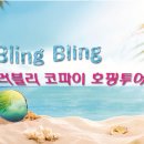 파이투어