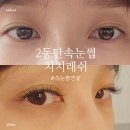 치치 | 동탄 라크몽 속눈썹연장 치치래쉬 후기｜가벼워서 만족했어요