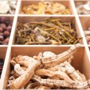 중국진한의원 이미지