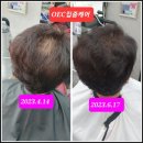 란 헤어샵 이미지