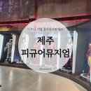 주식회사 버스터 | 제주 서귀포 비올때 가볼만한곳 실내 체험과 인생사진 가득 피규어뮤지엄제주