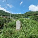 노리마리 이미지