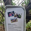 제주자연여행