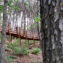 신양테마파크 이미지