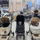 메디킹스 | 2026 케이펫페어 세텍 서울 학여울역 펫박람회 방문 후기