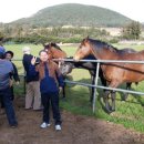 대성목장 이미지