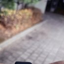 서울소담치과의원 이미지