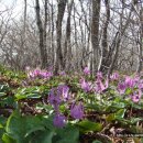 에이레네 이미지