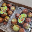 대영농장2 이미지