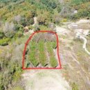 문성농장2 이미지