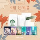 아임플란 | [신제품] 9월, 추석 에디션부터 가을 시즌 라인업까지! 소프트팩 신상 패키지를 소개합니다🎉