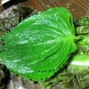 대구서남왕족발 이미지