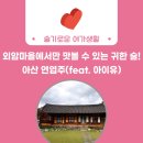 외암마을에서만 맛볼 수 있는 귀한 술! 아산 연엽주 (feat. 아이유)