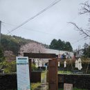 숲속개울가 | 남해 분위기 좋은 카페, 남해의숲 후기