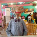 달동네꼬지 이미지