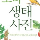 보리책방 이미지