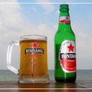 사이공1975(SAIGON1975) | [술이야기] 동남아시아 맥주 추천, 동남아시아 맥주 베스트 10, 동남아 맥주 BEST 10