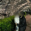 바버 트랜스포트 왁스 자켓, 여자 36 사이즈 후기
