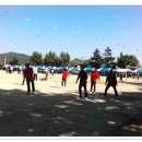 소이초등학교 이미지