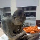 미라엔터테인먼트