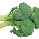 노박의원 이미지