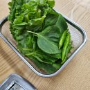 길벗식당 | 길벗식당 - 제주 노형 오리 맛집