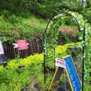 봄비문학관 이미지