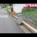 가곡면 복지회관 이미지