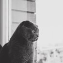 하임한의원 이미지