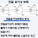 제일안경원 이미지