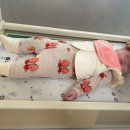 준호연합소아청소년과의원 이미지