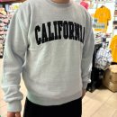 팜프라자아울렛약국 | 미국 LA 여행 | Day 8. 할리우드 명예의 거리, 셀링선셋 오펜하임 사무실, 인앤아웃