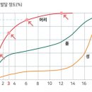 월령초등학교 이미지