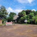 놀멍쉬멍고르멍 | [제주 체험] 도치돌목장 : 제주 놀거리, 아이들과 체험, 귀여운 알파카 먹이 주기❤️