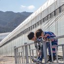 응골농장 이미지