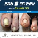 네일아트 손길 네이버블로그