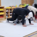 안성초교병설유치원 이미지