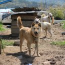 이광호농장 이미지