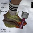 134 | 아킬레스건 부상을 안고 서울레이스 하프 134 후기