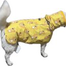 블랭크 애견샵 이미지