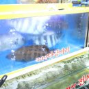 가락시장역6번출입구 이미지