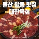 대한육회 | 울산 달동 맛집 [대한육회], 차돌생고기는 처음인데 제대로 반했다♥️