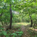 구산면609 이미지