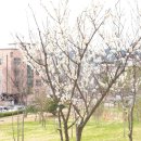 목상근린공원 이미지