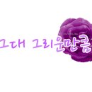 러브플라워즈 이미지