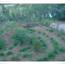 놀부농장 이미지