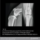 24시 리본동물영상센터 이미지